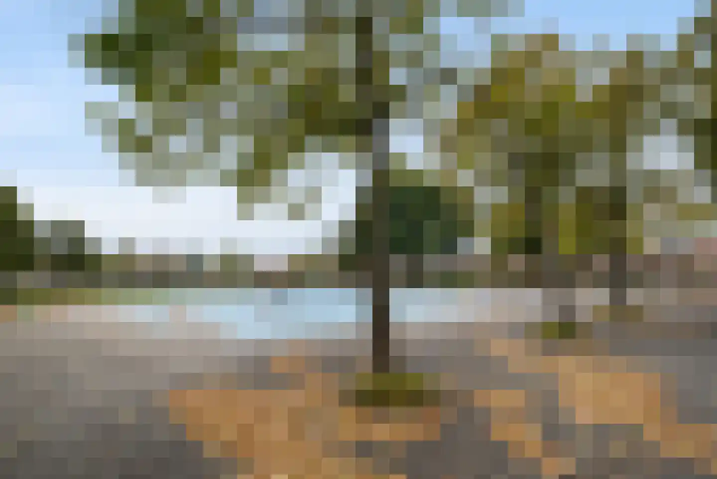 Plejadenplein 12 Amsterdam thumbnail 37