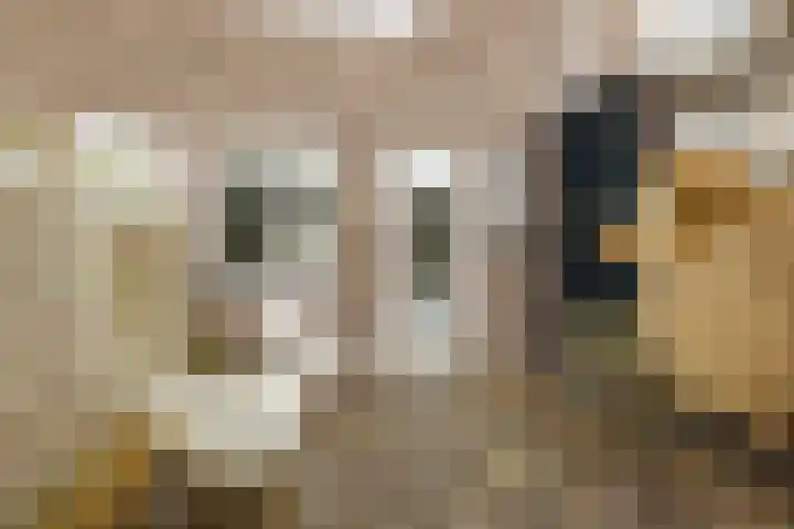 Plejadenweg 29 Amsterdam thumbnail 16