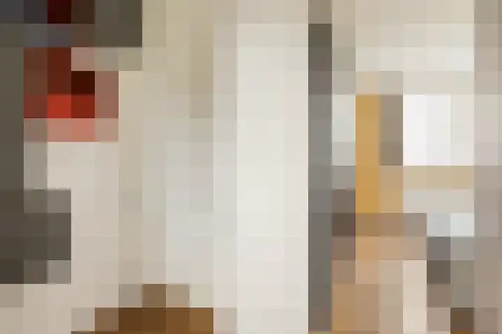Plejadenweg 29 Amsterdam thumbnail 18