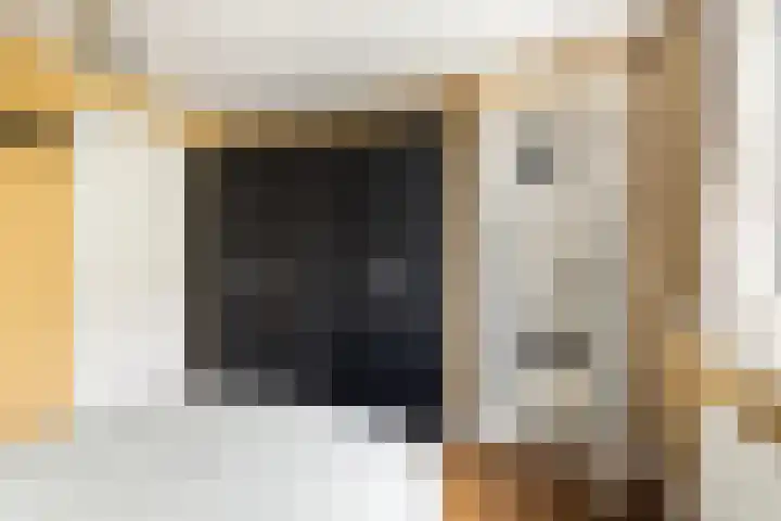Plejadenweg 29 Amsterdam thumbnail 20