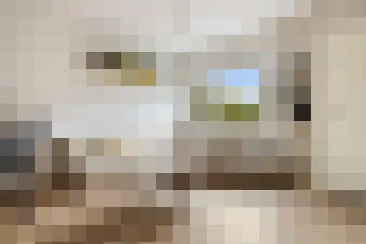 Plejadenweg 29 Amsterdam thumbnail 7