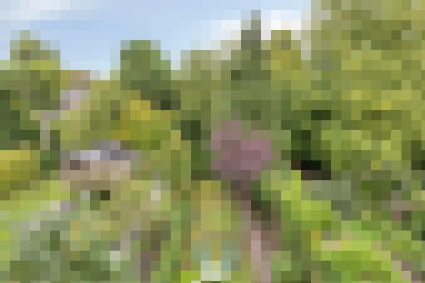 Plenkershoven 33 Maastricht thumbnail 13