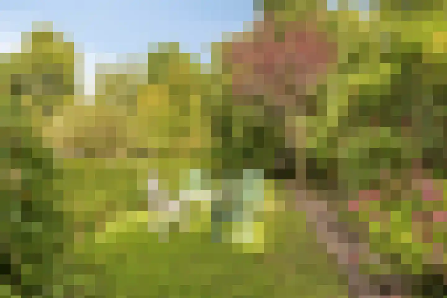 Plenkershoven 33 Maastricht thumbnail 20