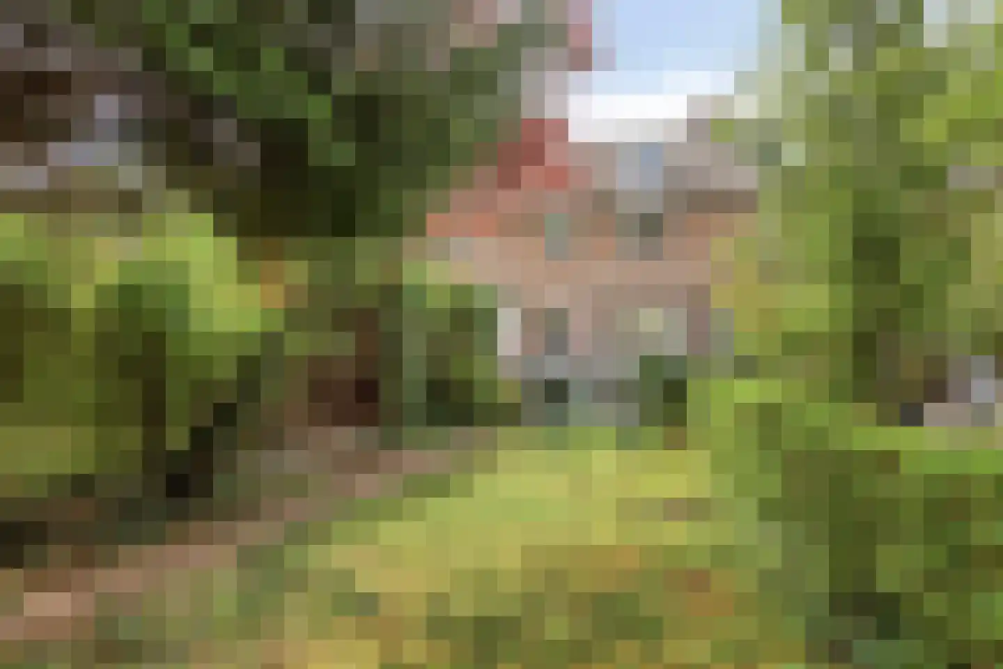Plenkershoven 33 Maastricht thumbnail 21