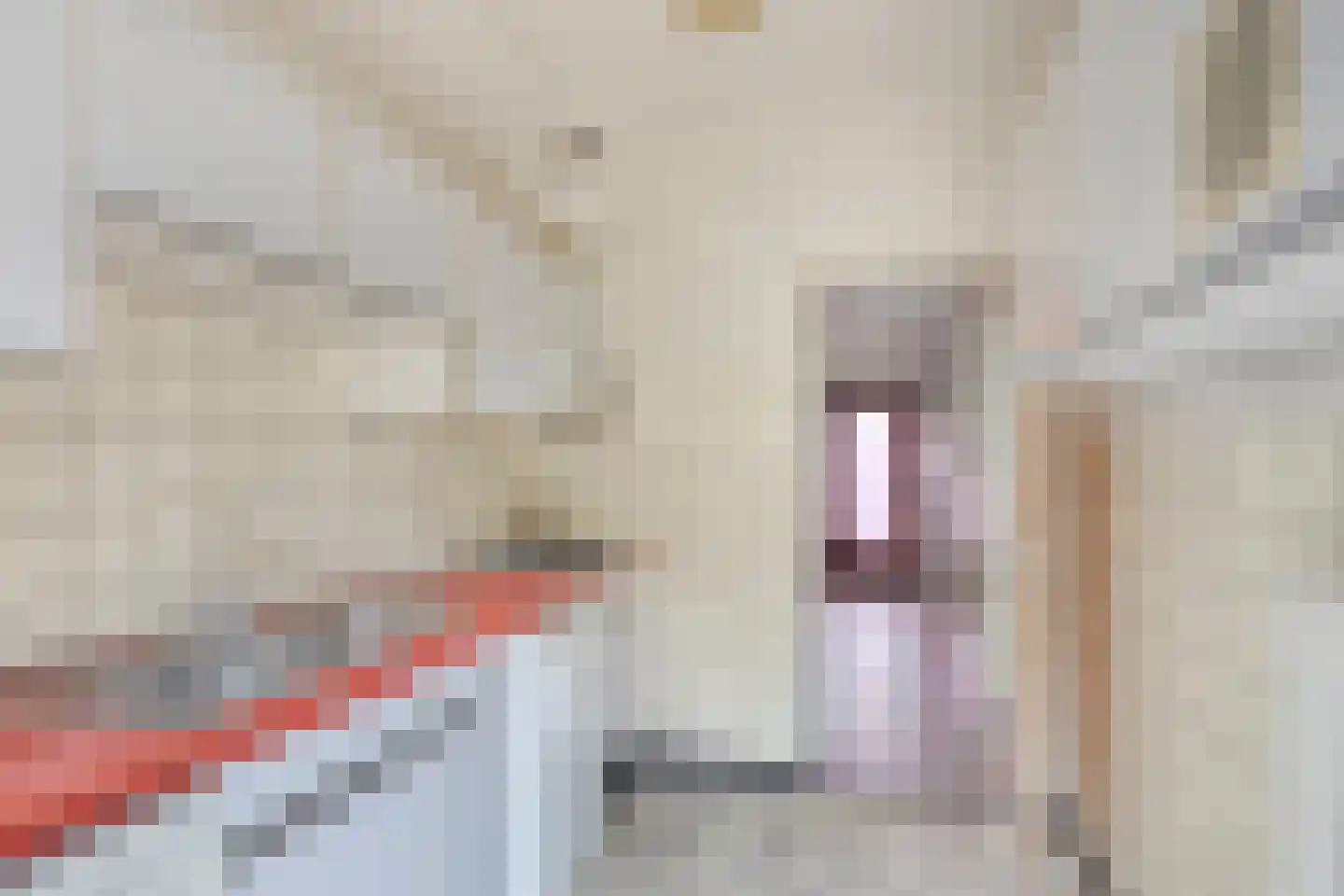 Plenkershoven 33 Maastricht thumbnail 9