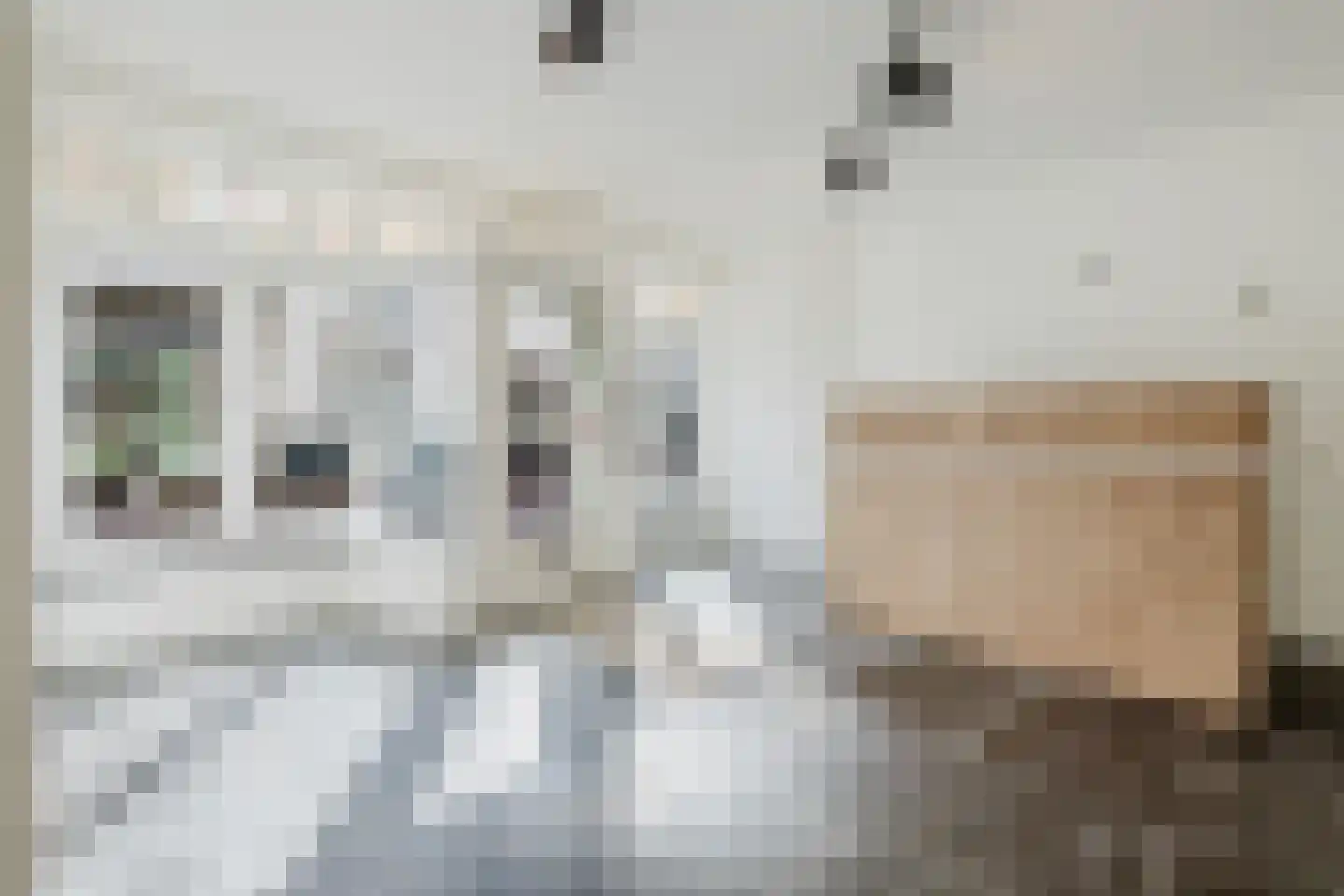 Plenkertstraat 5 A Valkenburg thumbnail 12