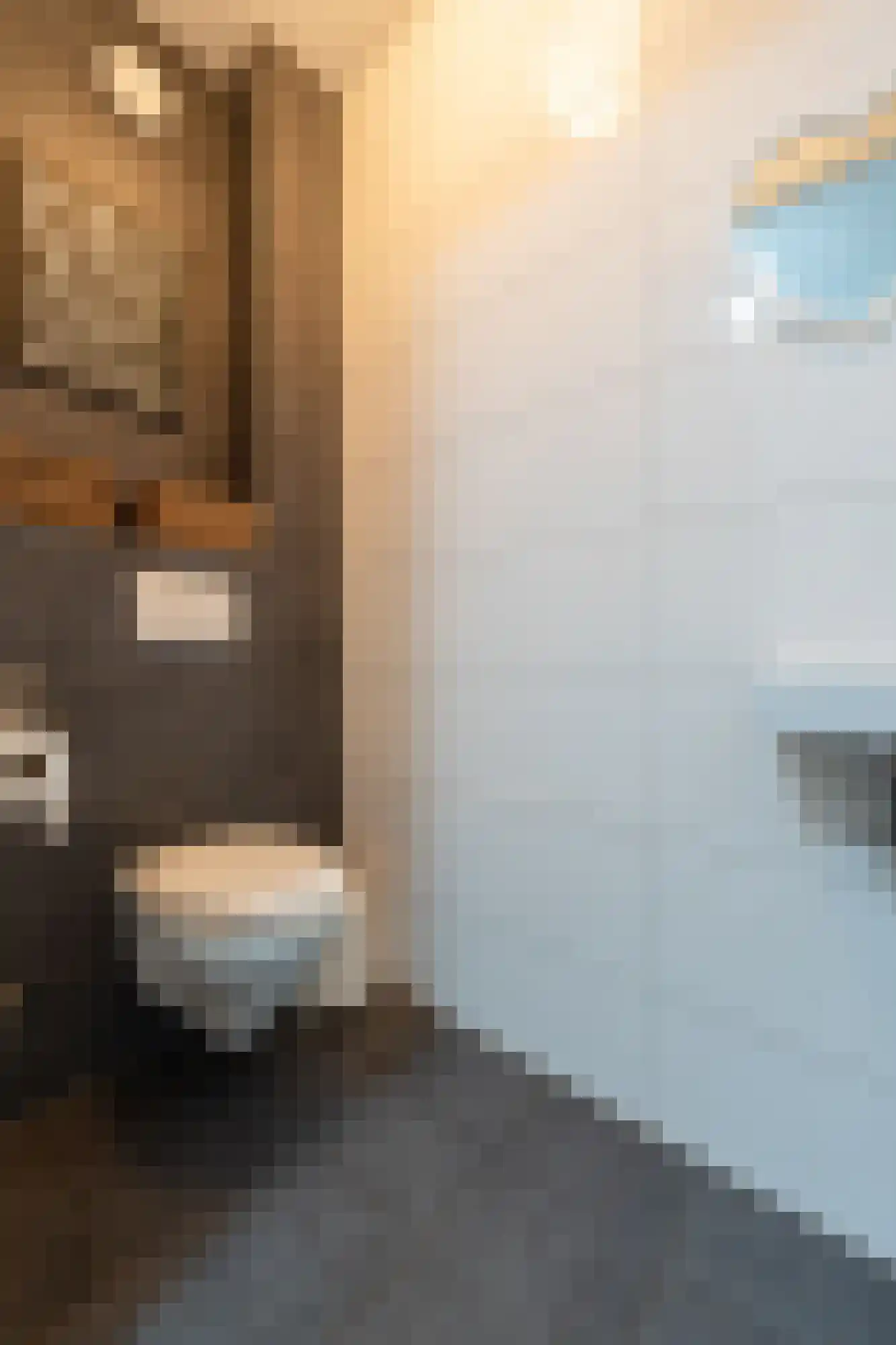 Plesmanhage 10 Emmeloord thumbnail 15