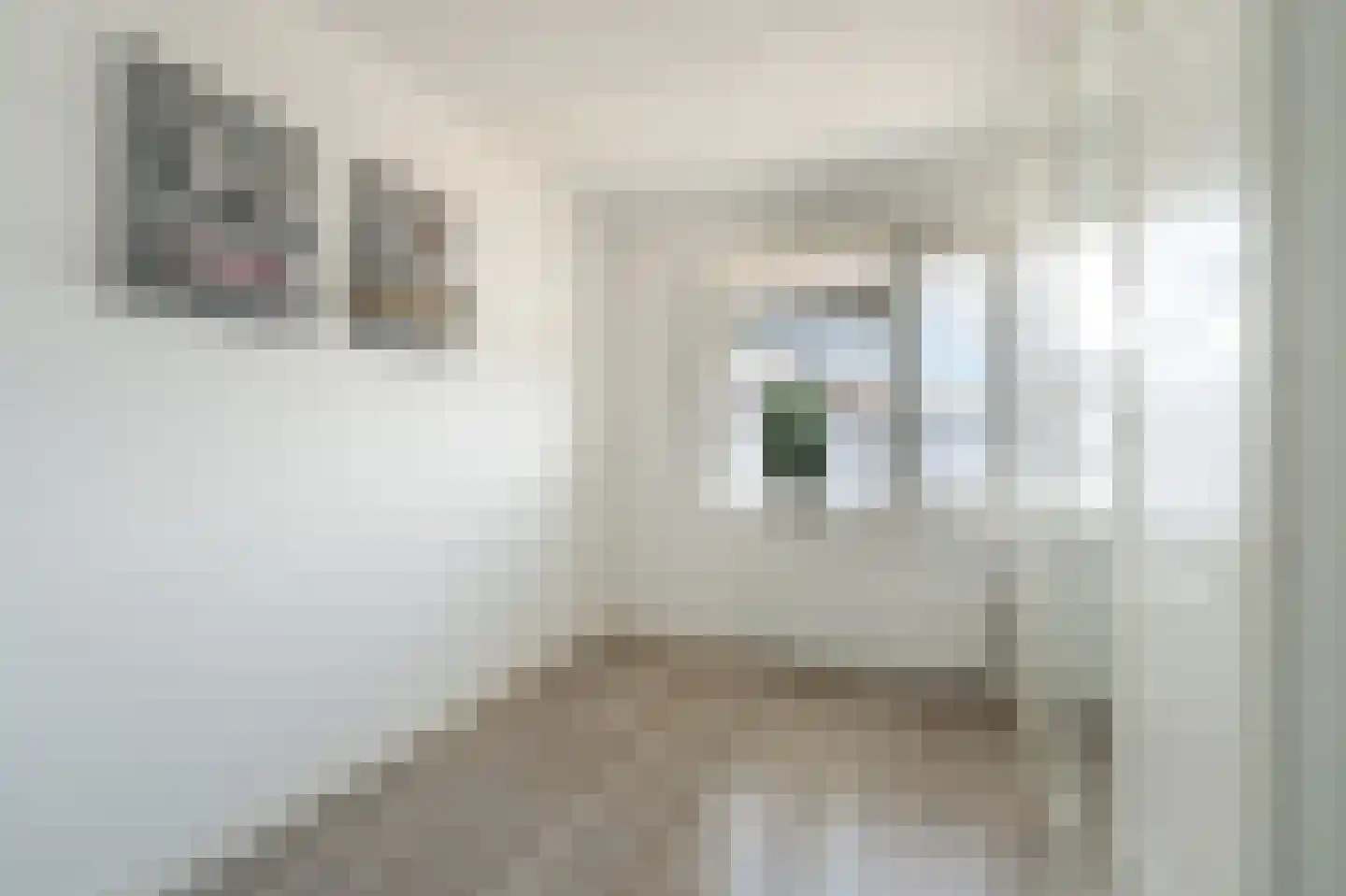 Plesmanhage 10 Emmeloord thumbnail 40