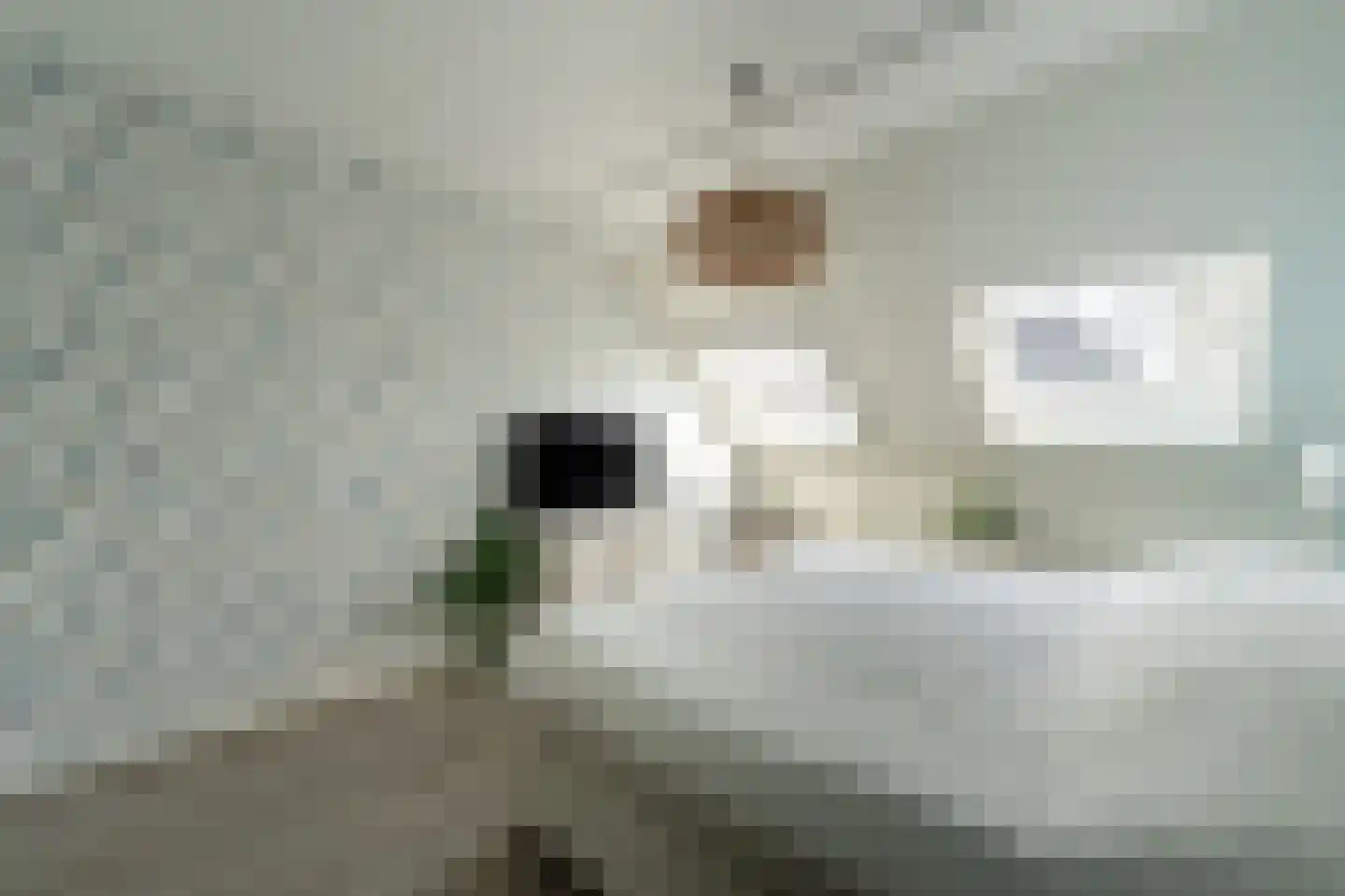 Plesmanhage 10 Emmeloord thumbnail 53