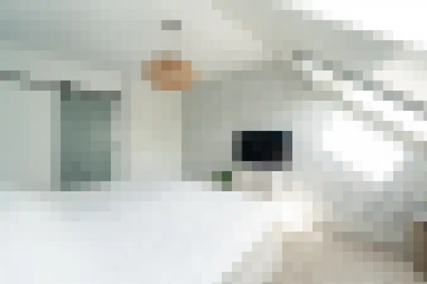 Plesmanhage 10 Emmeloord thumbnail 54