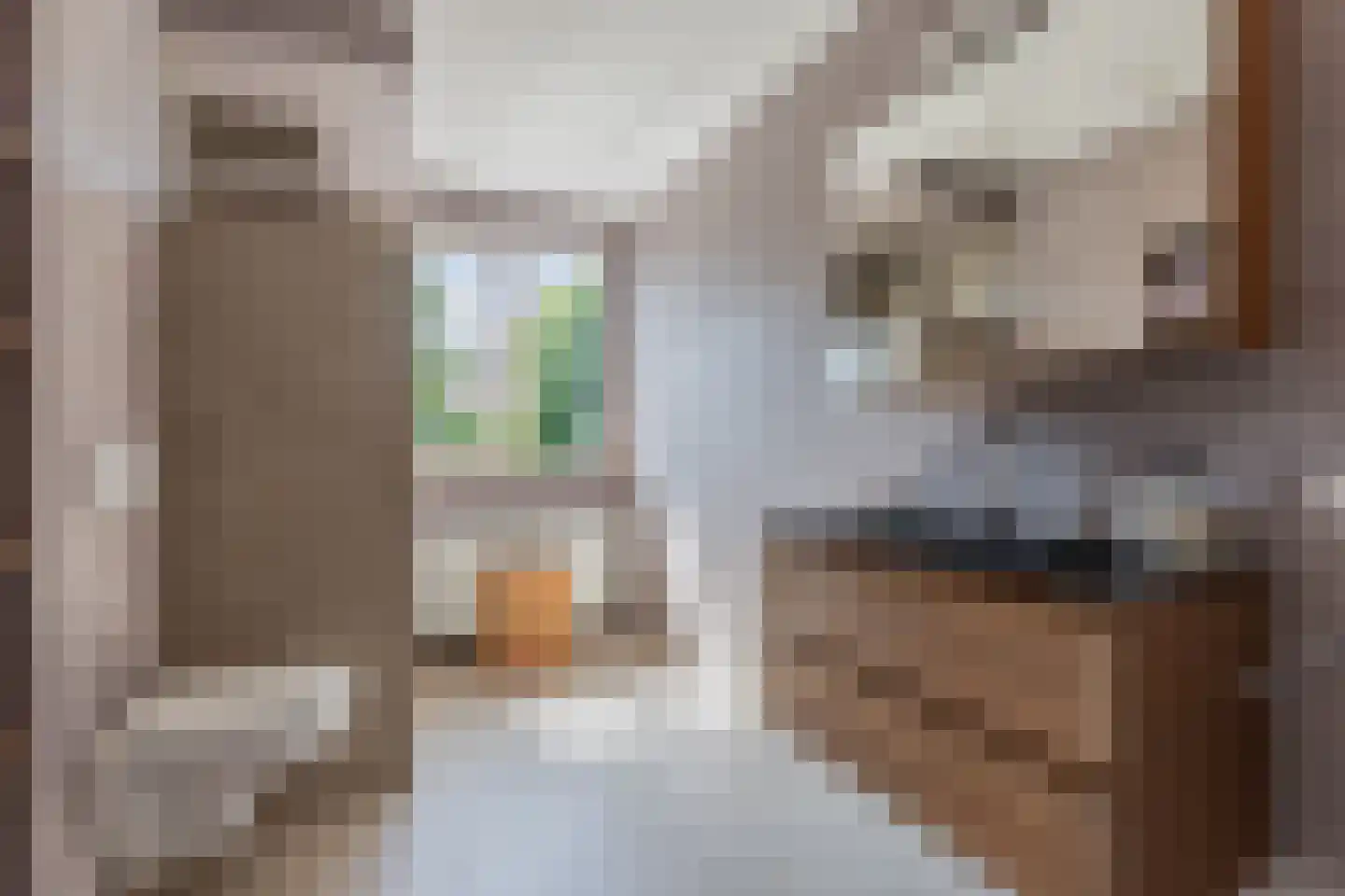Plesmanhage 7 Emmeloord thumbnail 18