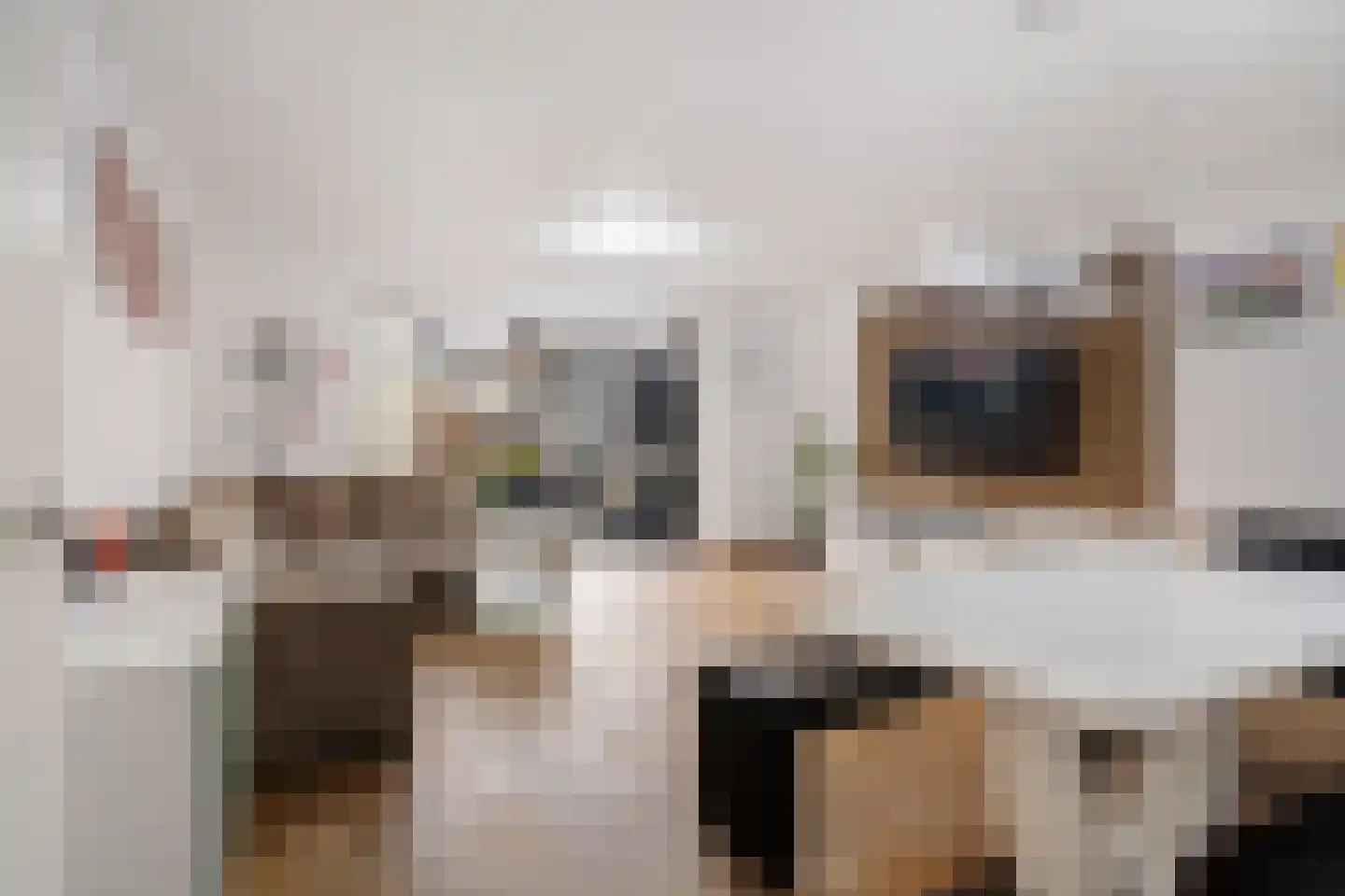Plesmanlaan 100 Den Haag thumbnail 13