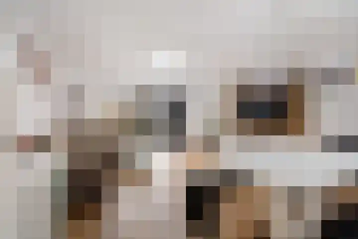Plesmanlaan 100 Den Haag thumbnail 13