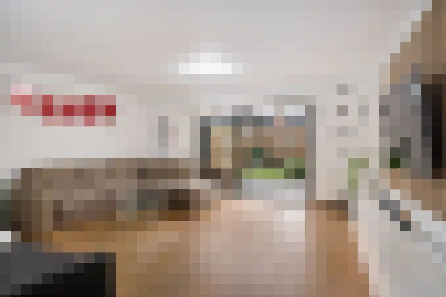 Plesmanlaan 100 Den Haag thumbnail 16