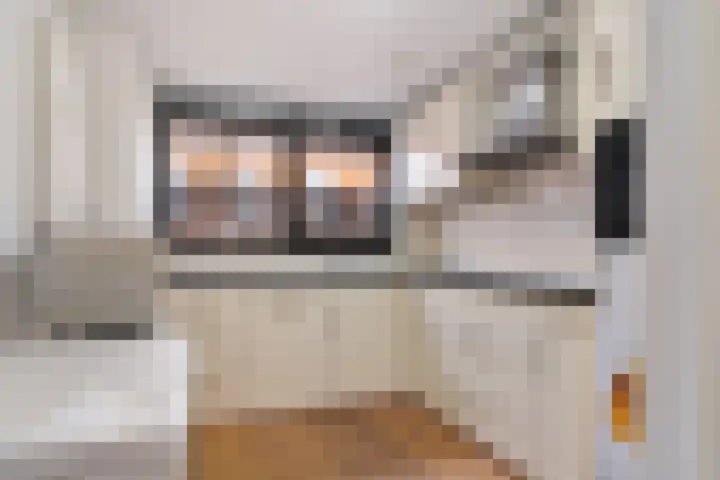 Plesmanlaan 100 Den Haag thumbnail 17