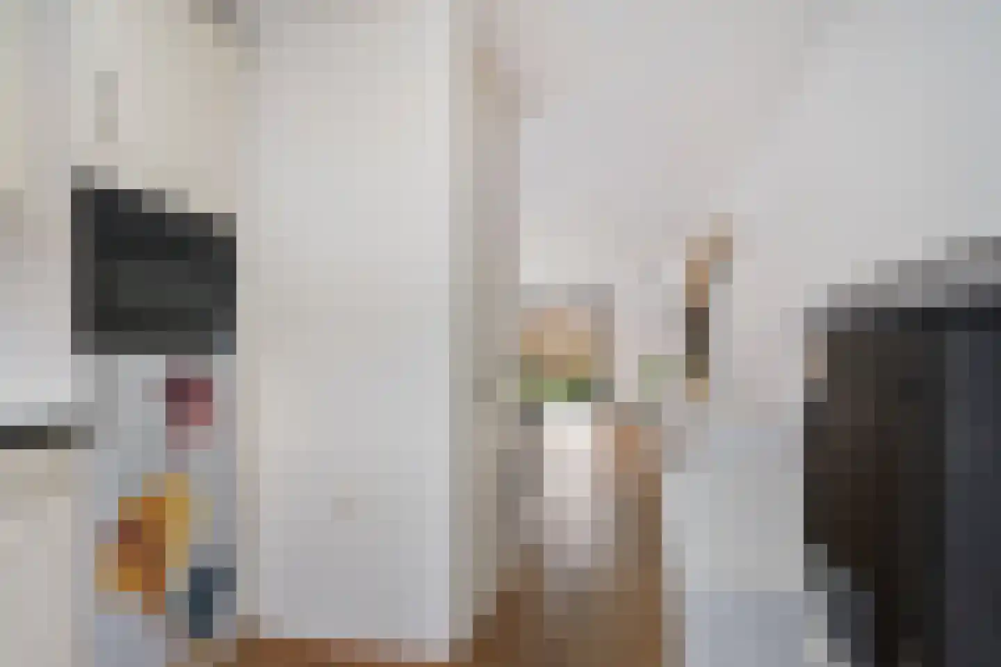 Plesmanlaan 100 Den Haag thumbnail 19