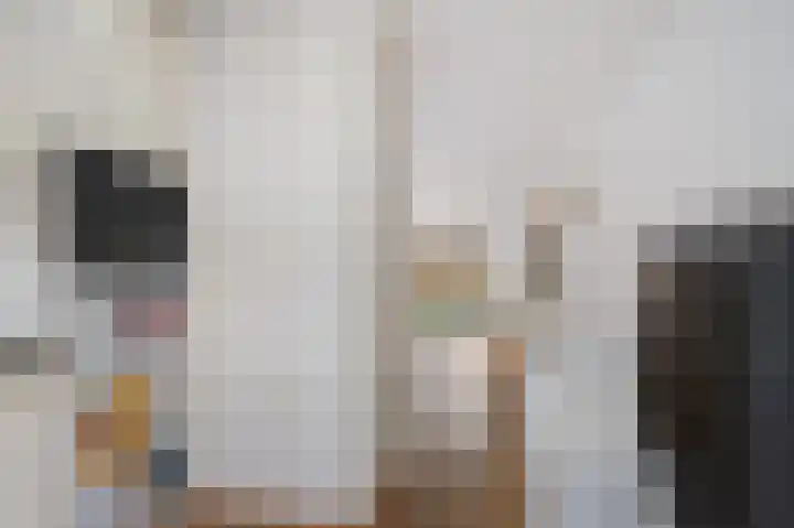 Plesmanlaan 100 Den Haag thumbnail 19