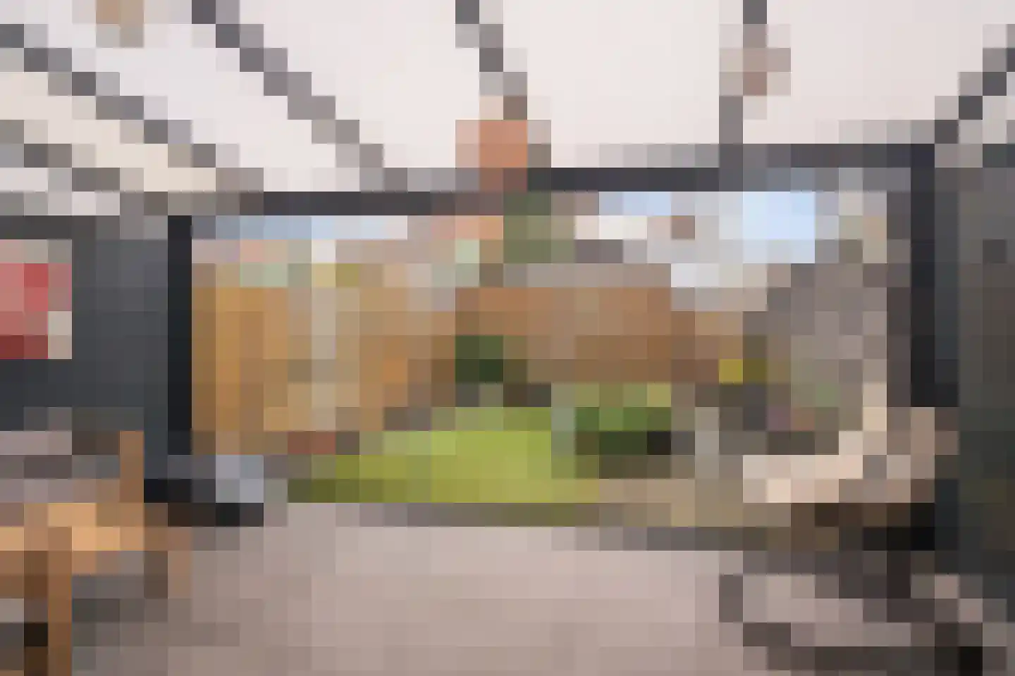 Plesmanlaan 100 Den Haag thumbnail 21