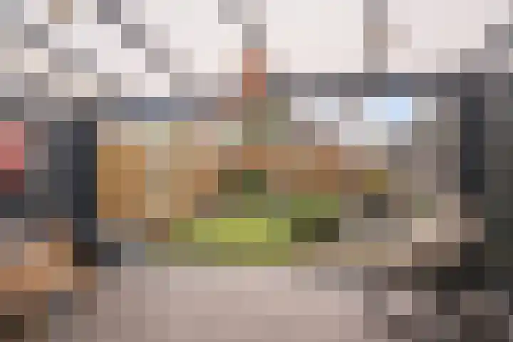 Plesmanlaan 100 Den Haag thumbnail 21