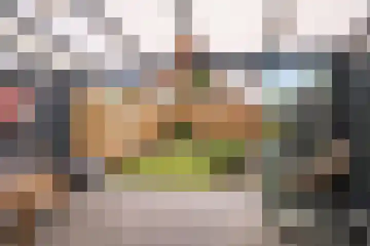 Plesmanlaan 100 Den Haag thumbnail 22