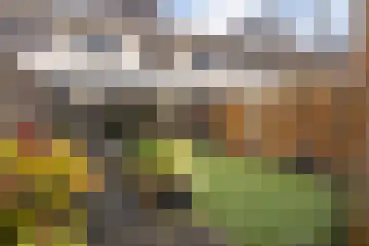 Plesmanlaan 100 Den Haag thumbnail 24