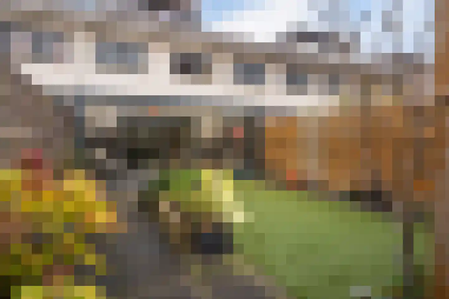Plesmanlaan 100 Den Haag thumbnail 24