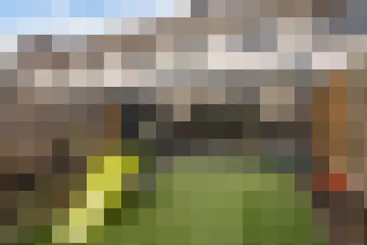 Plesmanlaan 100 Den Haag thumbnail 25