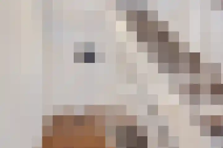 Plesmanlaan 100 Den Haag thumbnail 29