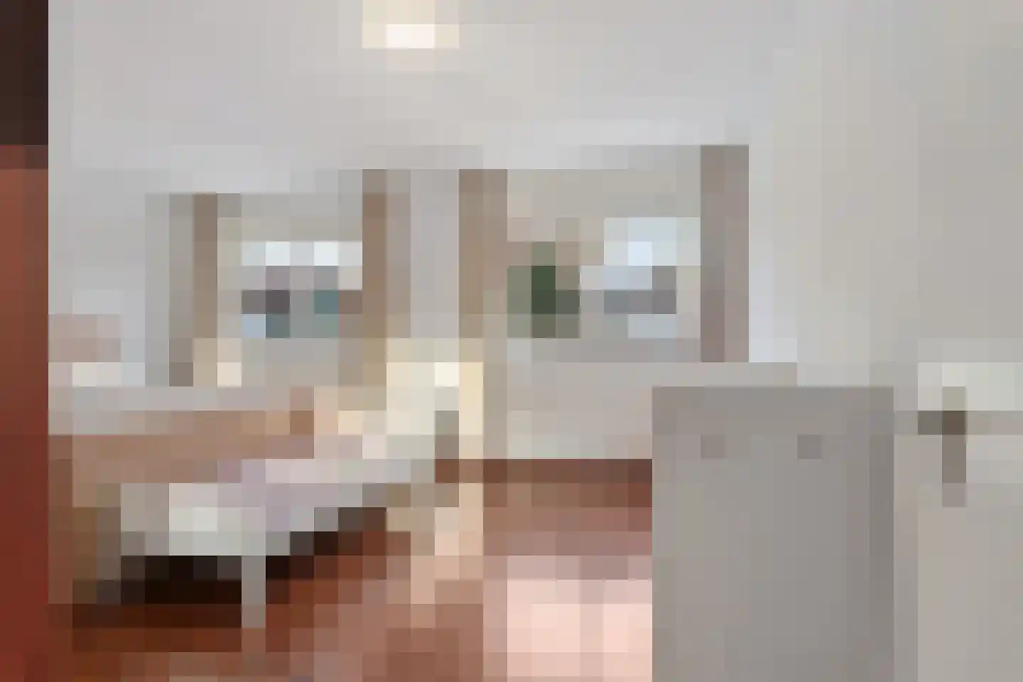 Plesmanlaan 100 Den Haag thumbnail 30