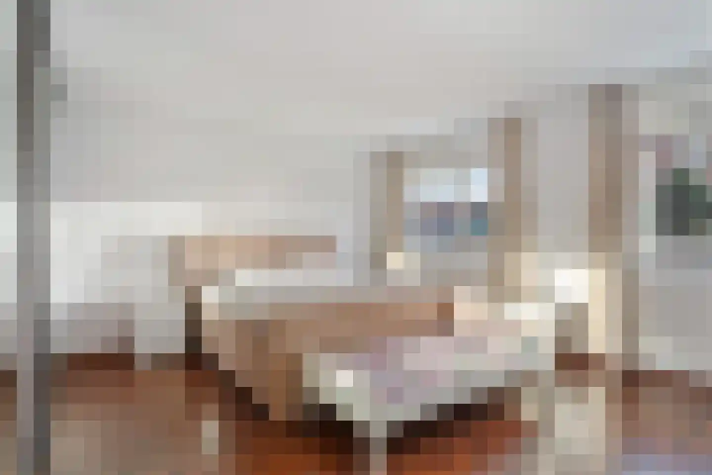 Plesmanlaan 100 Den Haag thumbnail 31