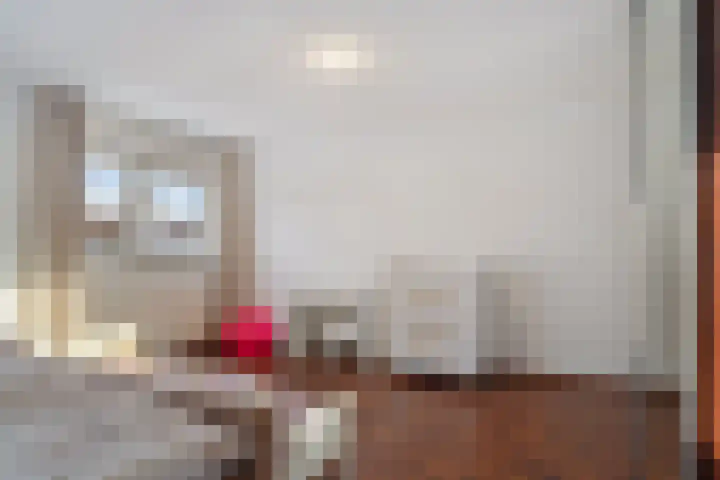 Plesmanlaan 100 Den Haag thumbnail 33