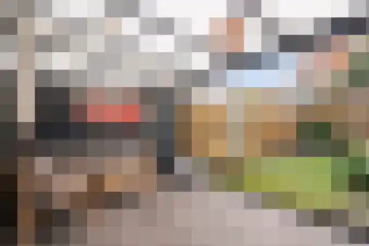 Plesmanlaan 100 Den Haag thumbnail 4