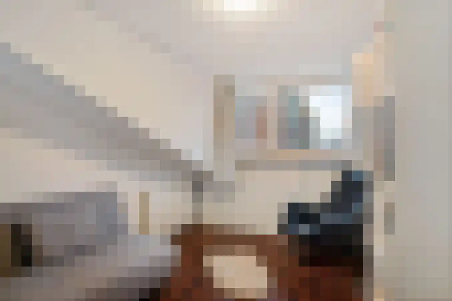 Plesmanlaan 100 Den Haag thumbnail 40