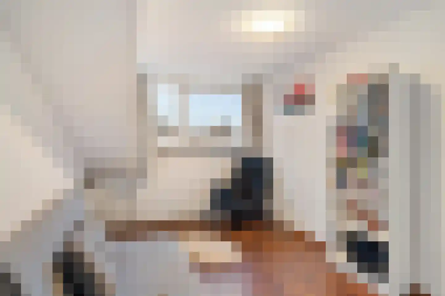 Plesmanlaan 100 Den Haag thumbnail 41