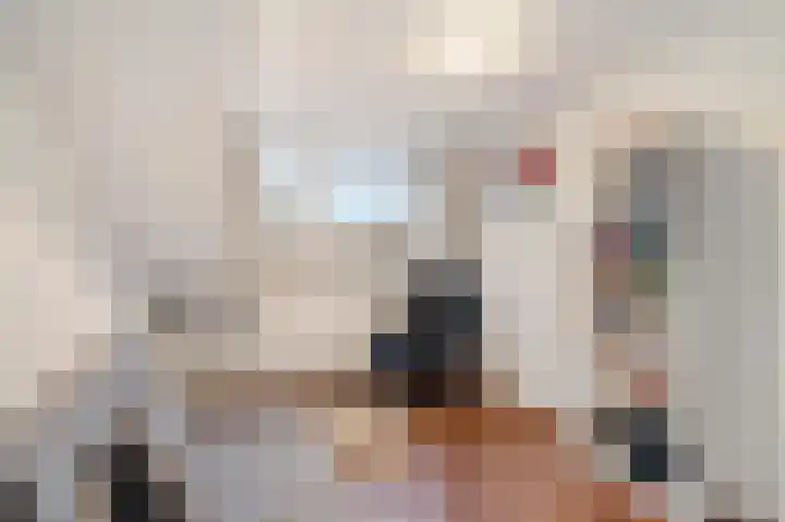 Plesmanlaan 100 Den Haag thumbnail 41