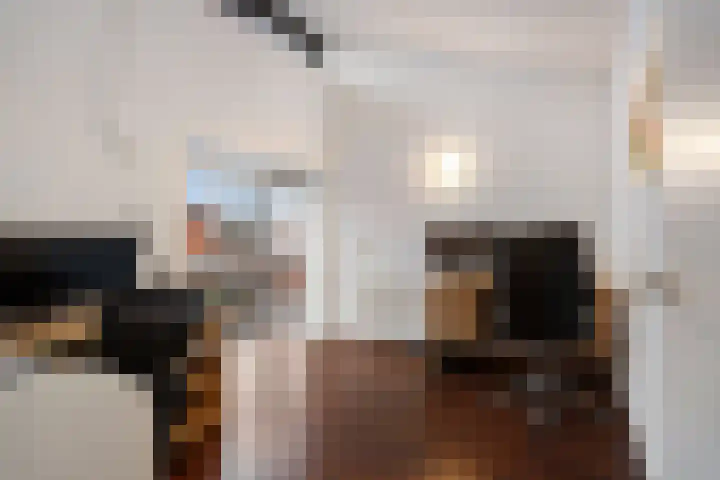 Plesmanlaan 100 Den Haag thumbnail 45