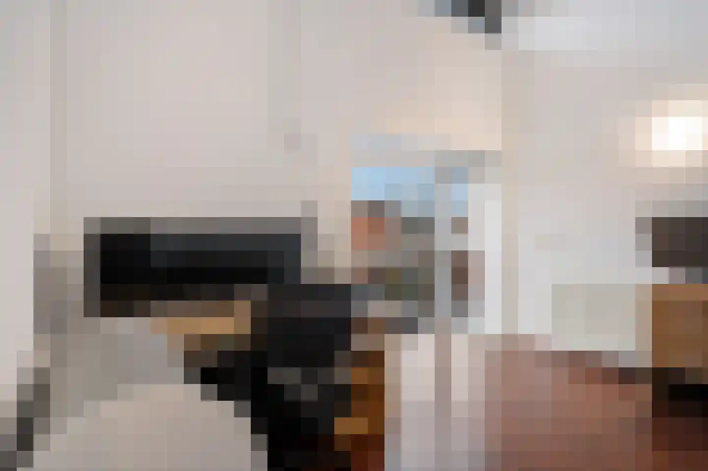 Plesmanlaan 100 Den Haag thumbnail 46