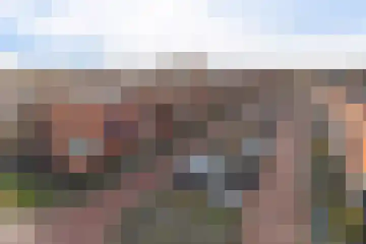 Plesmanlaan 100 Den Haag thumbnail 6
