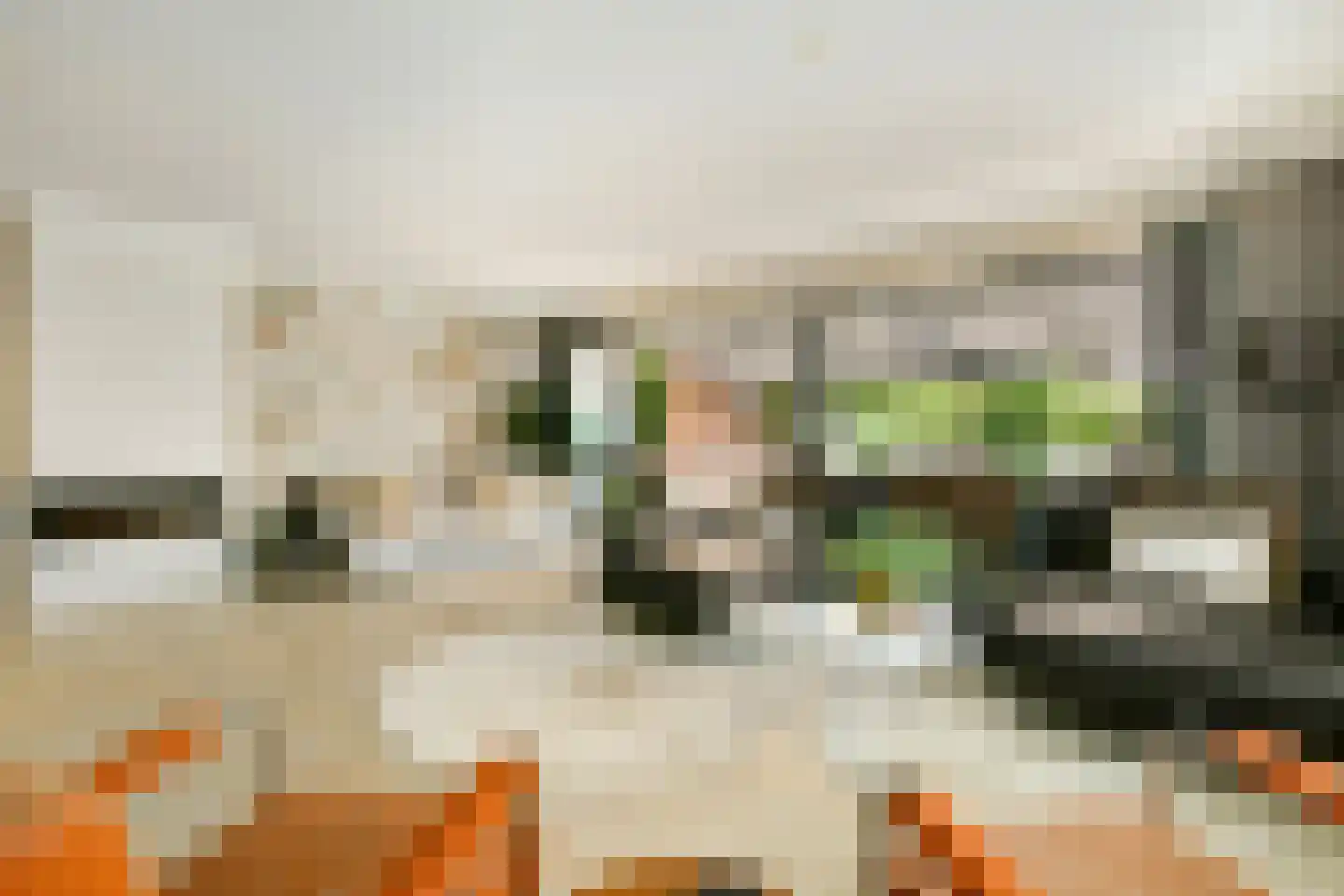 Plesmanlaan 137 C Amsterdam thumbnail 11