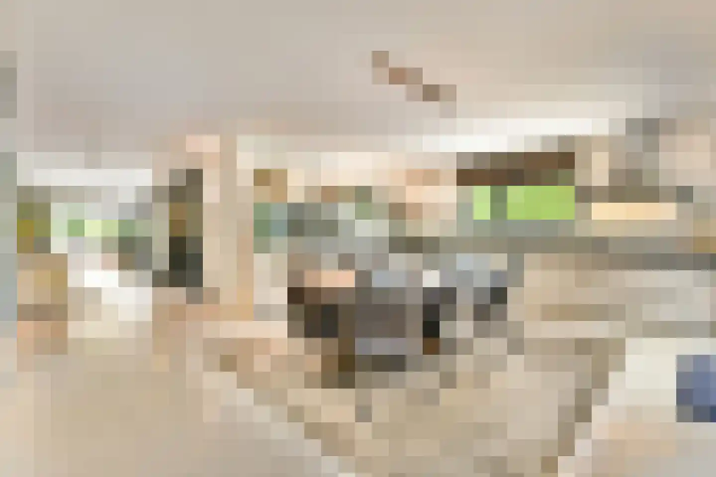 Plesmanlaan 137 C Amsterdam thumbnail 26