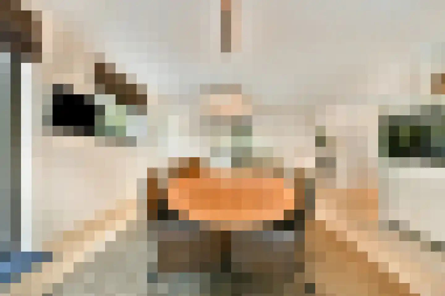 Plesmanlaan 137 C Amsterdam thumbnail 30