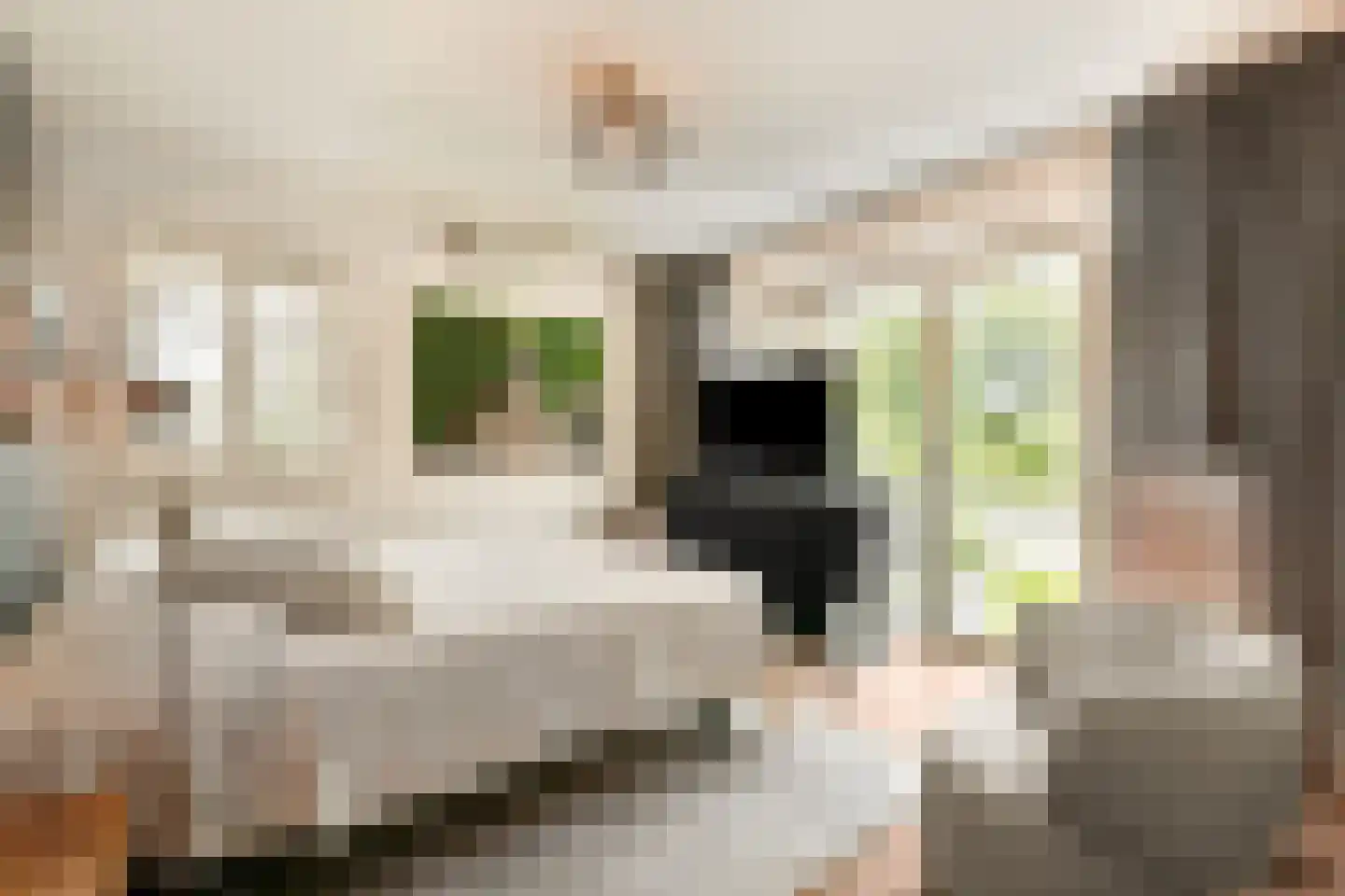 Plesmanlaan 137 C Amsterdam thumbnail 35