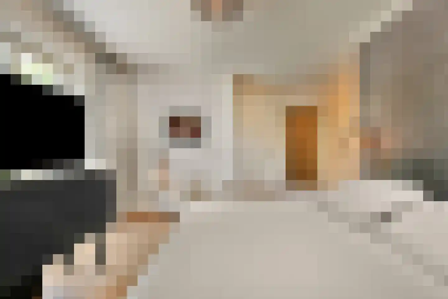 Plesmanlaan 137 C Amsterdam thumbnail 36