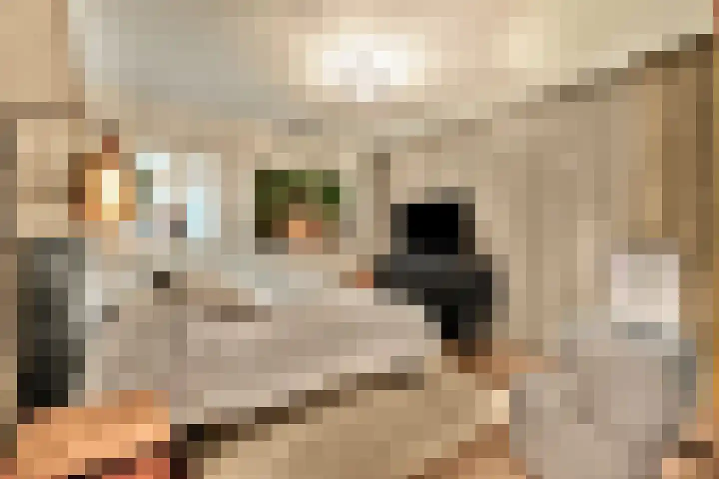 Plesmanlaan 137 C Amsterdam thumbnail 37