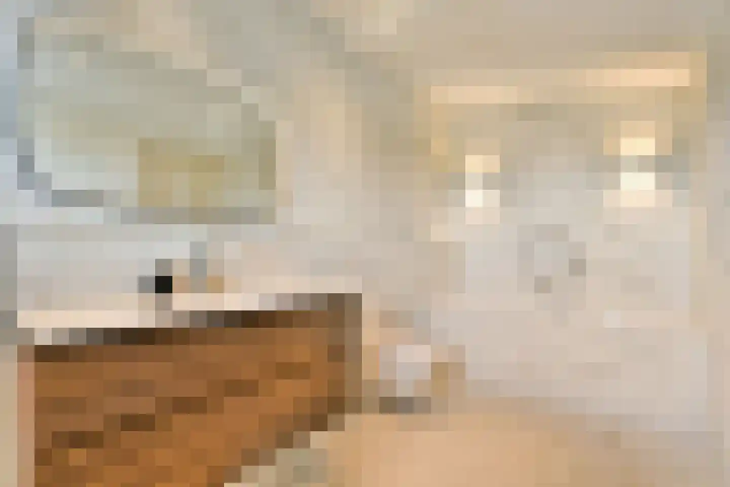 Plesmanlaan 137 C Amsterdam thumbnail 67