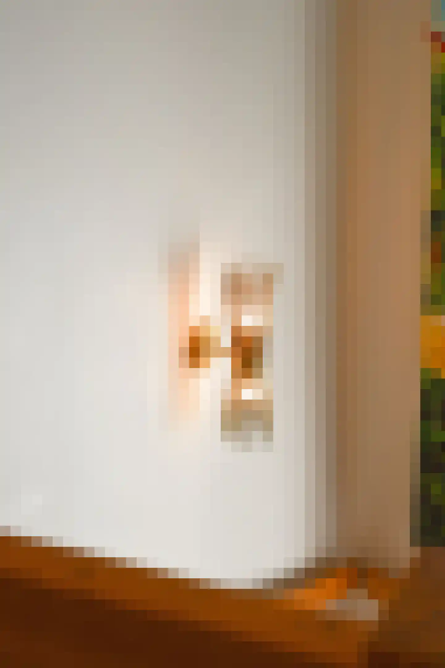 Plesmanlaan 137 C Amsterdam thumbnail 73