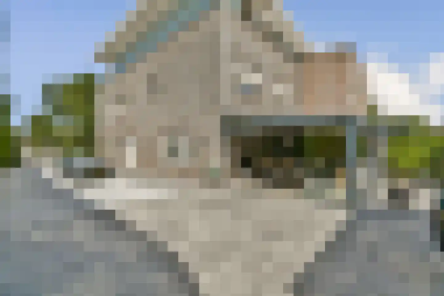 Plesmanlaan 137 C Amsterdam thumbnail 75