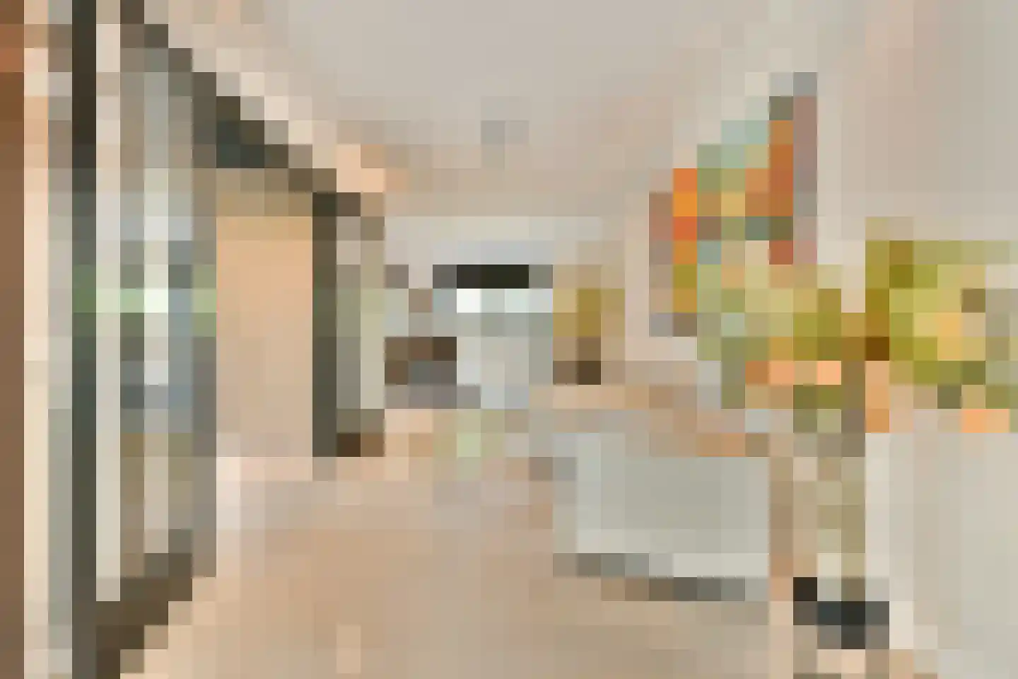 Plesmanlaan 137 C Amsterdam thumbnail 8