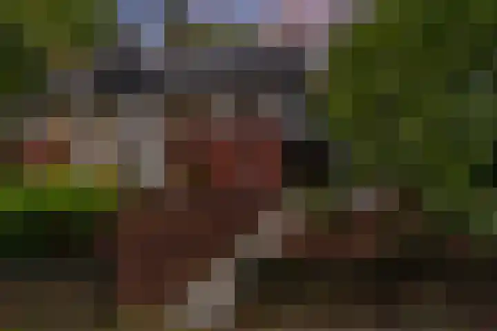 Plesmanlaan 14 c Nunspeet