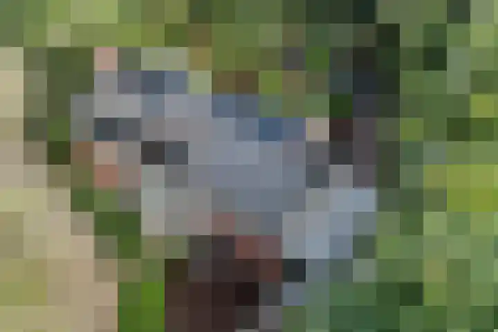 Plesmanlaan 14 c Nunspeet thumbnail 10